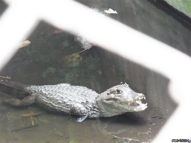 屏東八大森林遊樂園