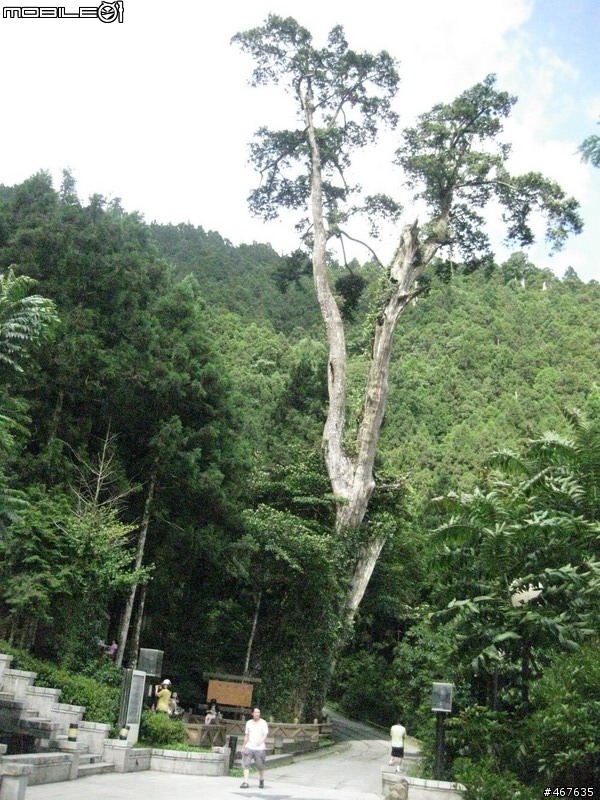 Aug-2011 兩日雙北