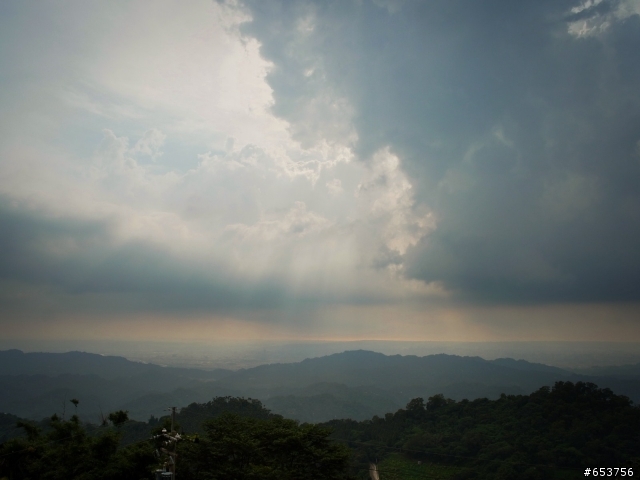 慢遊 台中 月光森林