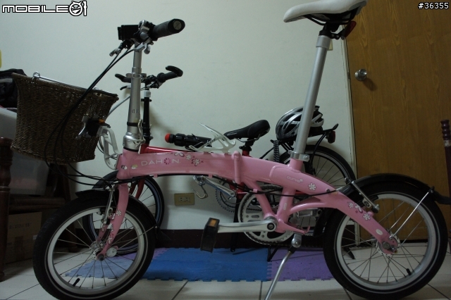 【開箱】Dahon 原廠 "什麼都能裝的籃子(菜籃、寵物籃)" 開箱