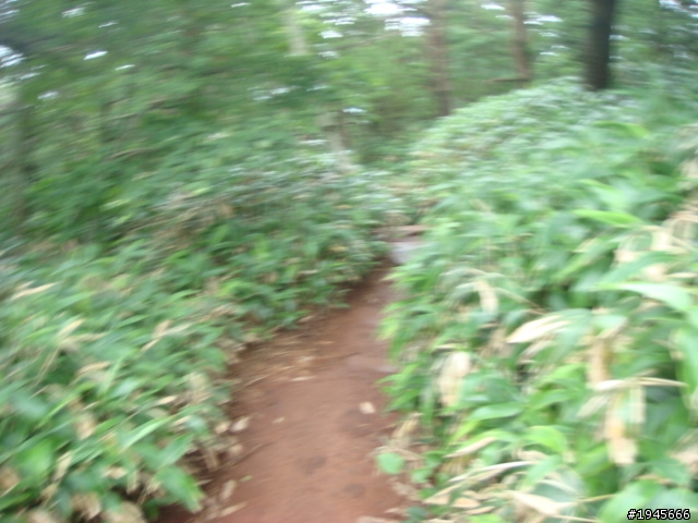 山中名人
