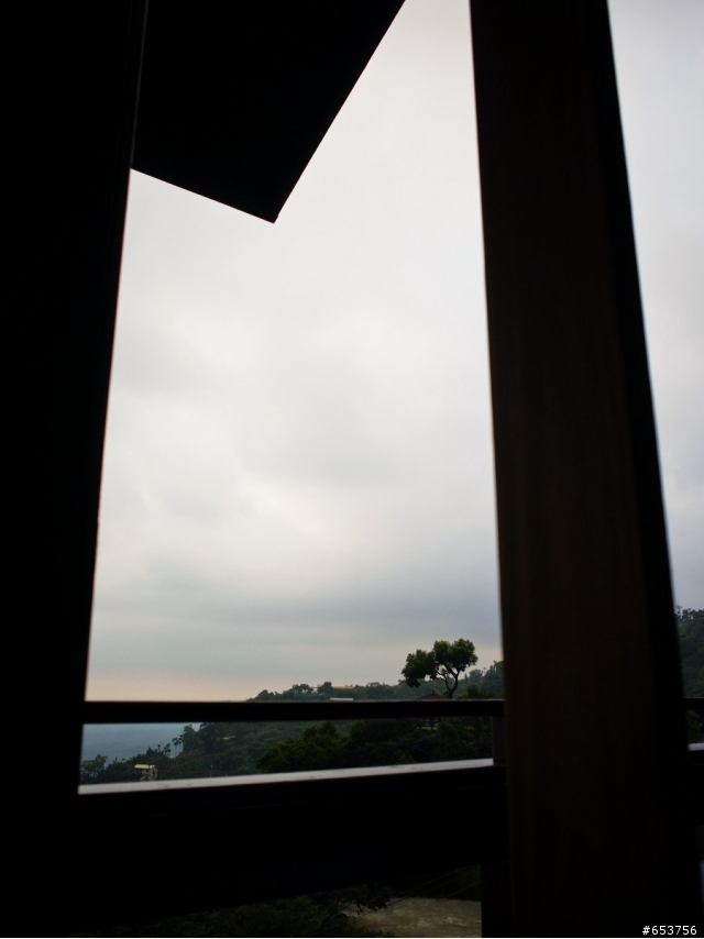 慢遊 台中 月光森林