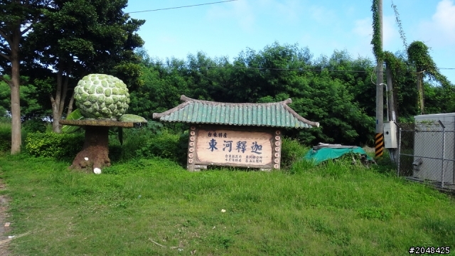 三天三夜環島去(四極+2迴)