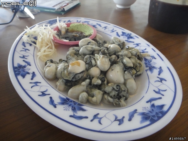 拖好久的~閃閃雙人九天環島記(07.27-08.01) 終於完結篇了!!!!!