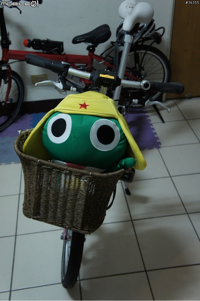 【開箱】Dahon 原廠 "什麼都能裝的籃子(菜籃、寵物籃)" 開箱