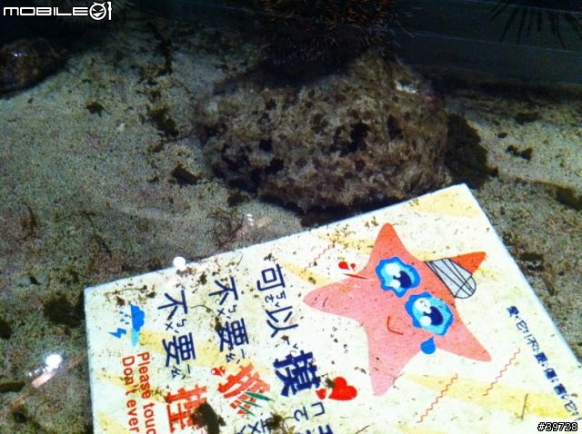 高雄墾丁5日4夜冒險日記【墾丁篇5/5】- 夜宿海生館(day2)