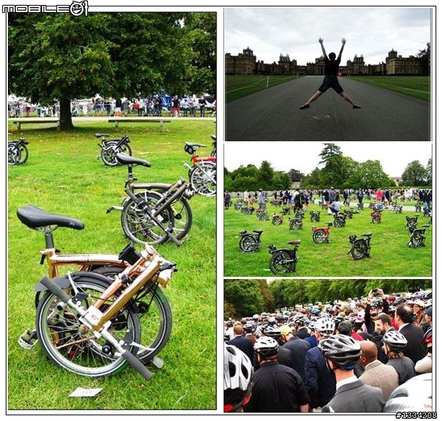 2011 Brompton World Championship 英遊記