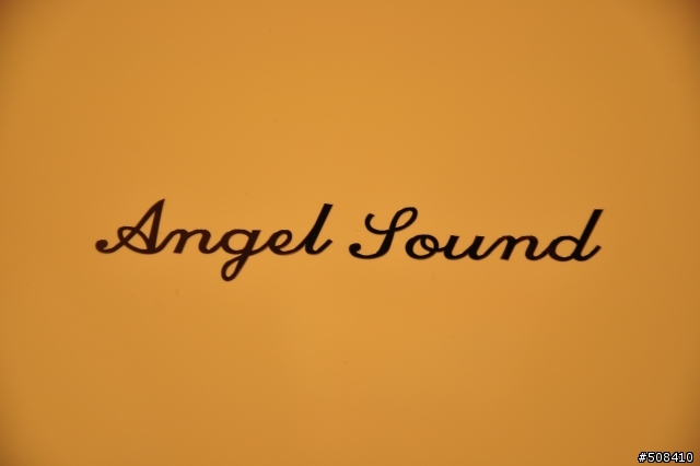 中低階落地喇叭-->Angel Sound開箱,網路很難查到...