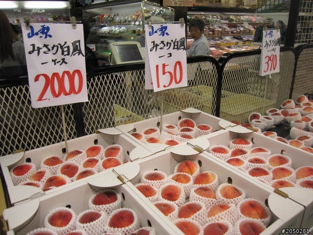 日本單車之旅(Day3)~瘋狂的單日130公里煎熬