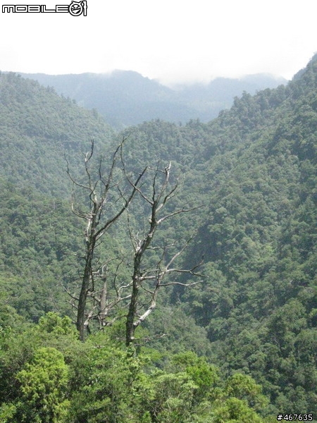 Aug-2011 兩日雙北