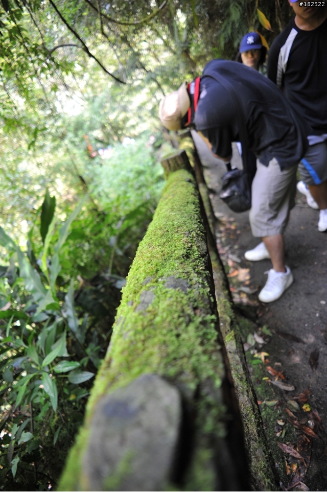 廣角好鏡分享-Voigtlander Color Skopar 20mm F3.5 SLII Aspherical