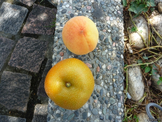 20110813單日雙橫鐵屁屁!