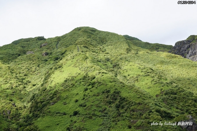海天一色、翠峰相連 - S彎、黃金瀑布、茶壺山、C型彎