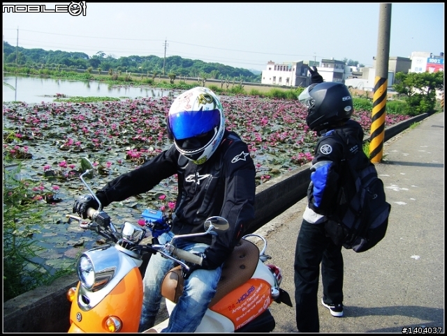 24耐環島之 在哪摔倒在,那站起來!