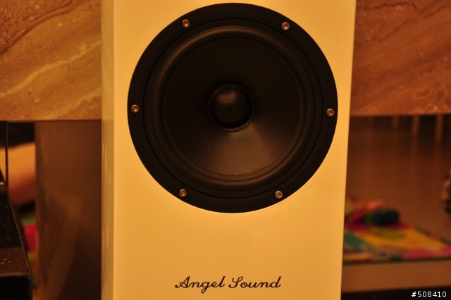 中低階落地喇叭-->Angel Sound開箱,網路很難查到...