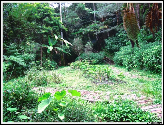 烏來雲仙樂園
