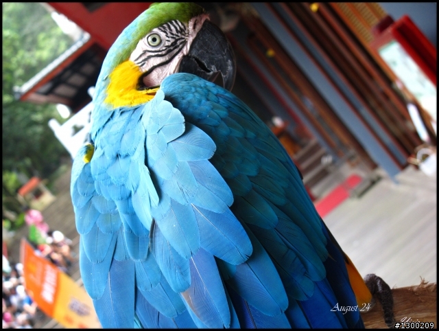烏來雲仙樂園