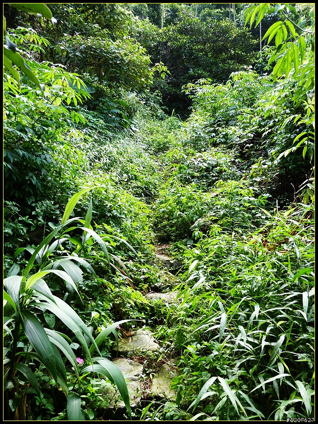2011.08.07_獨客獨行獨立山