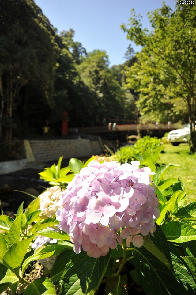 廣角好鏡分享-Voigtlander Color Skopar 20mm F3.5 SLII Aspherical