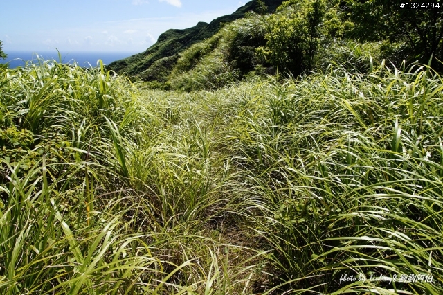 海天一色、翠峰相連 - S彎、黃金瀑布、茶壺山、C型彎