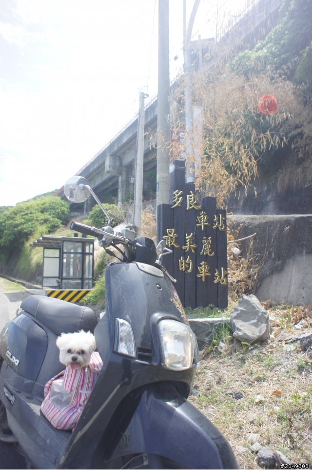 小女子四天四夜熱血環台,DAY2