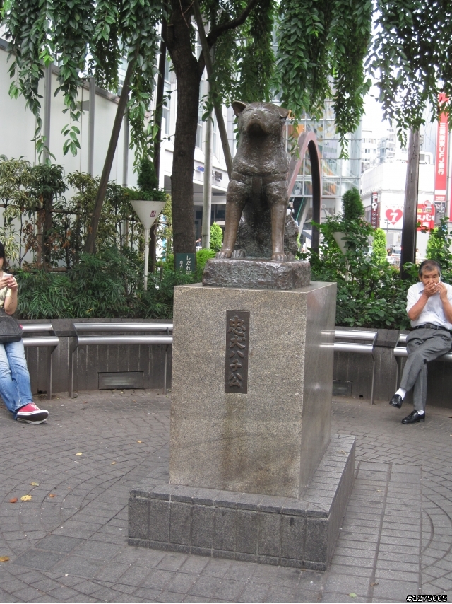 東京5天4夜自由逛!逛到讓你腿軟~~~~