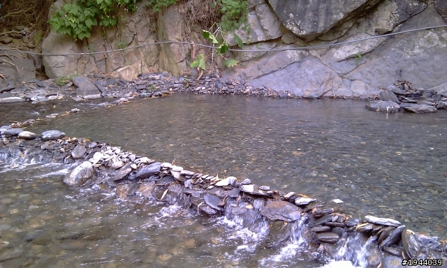 2011/08/16 早出晚歸青山村一日遊