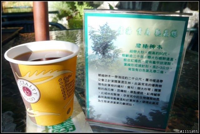 一日中橫~熱血沸騰