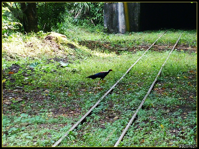 2011.08.07_獨客獨行獨立山