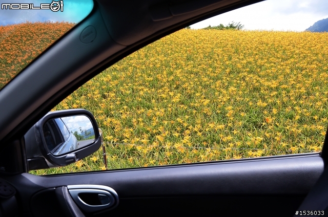開著Luxgen SUV環島會上癮:從高雄北上北橫,走過蘇花公路、花東縱谷,到六十石山賞金針花。