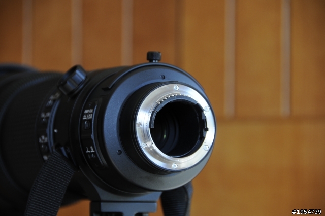 【分享文】AF-S Nikkor VR 200-400mm f/4G ED VRII