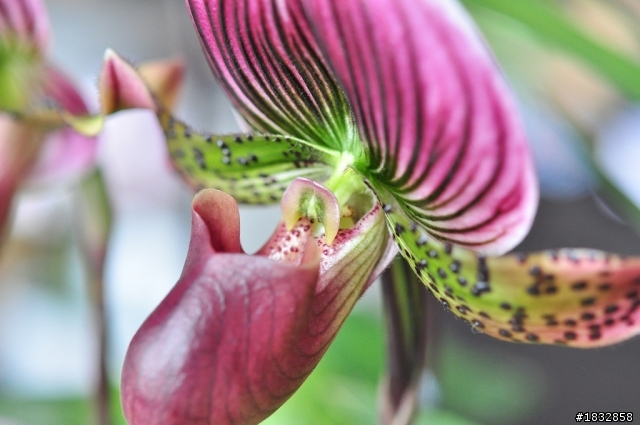 去年8月19日購入NIKON D5000’1周年回憶錄'