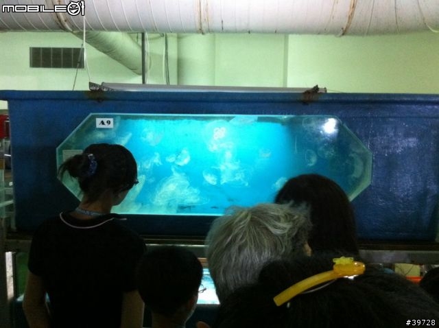 高雄墾丁5日4夜冒險日記【墾丁篇4/5】- 夜宿海生館(day1)