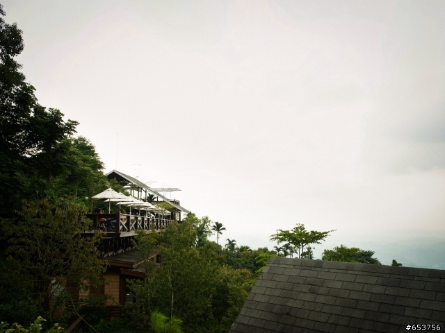 慢遊 台中 月光森林