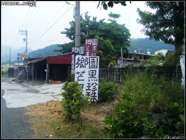 24耐環島之 在哪摔倒在,那站起來!