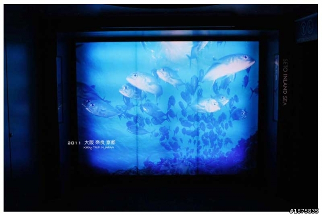 大阪海遊館(圖多)- 已新增奈良與京都照片
