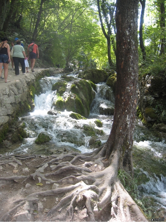 我在克羅埃西亞之十六湖公園 Plitvicka Jezera