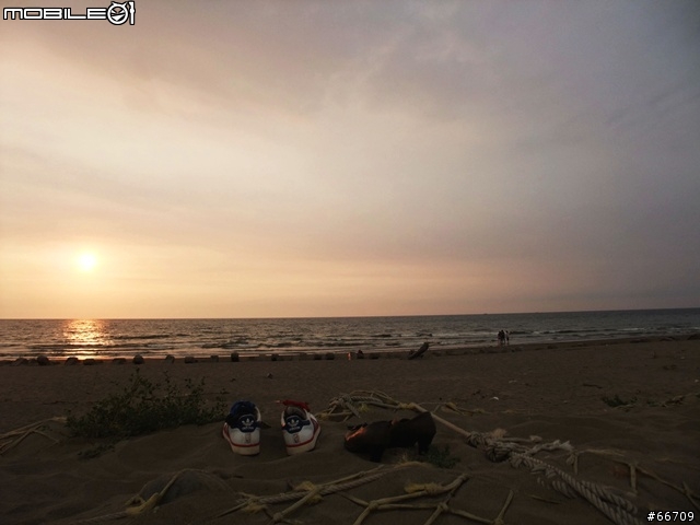 小納苗栗慢活貓海裏