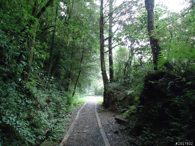 9/12塔塔加登東埔山--獨自漫步幽靜的特富野古道