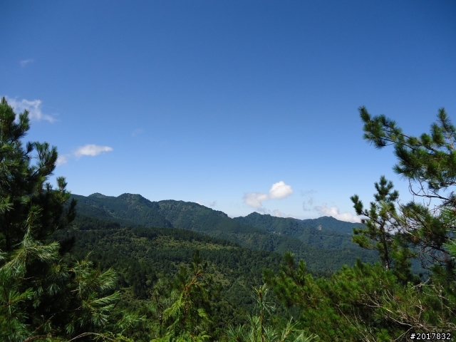 9/12塔塔加登東埔山--獨自漫步幽靜的特富野古道