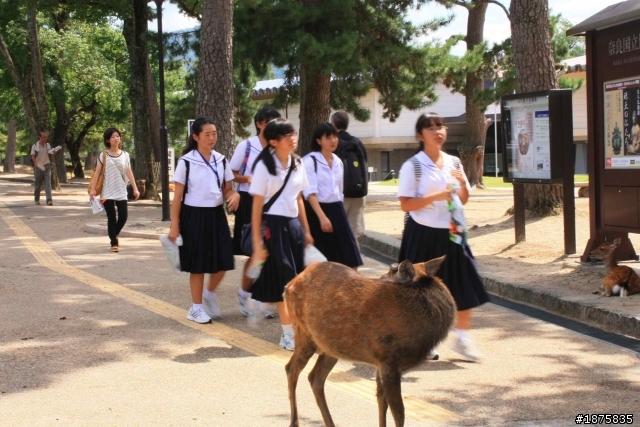 大阪海遊館(圖多)- 已新增奈良與京都照片