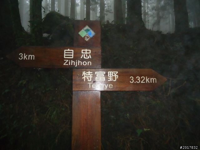 9/12塔塔加登東埔山--獨自漫步幽靜的特富野古道