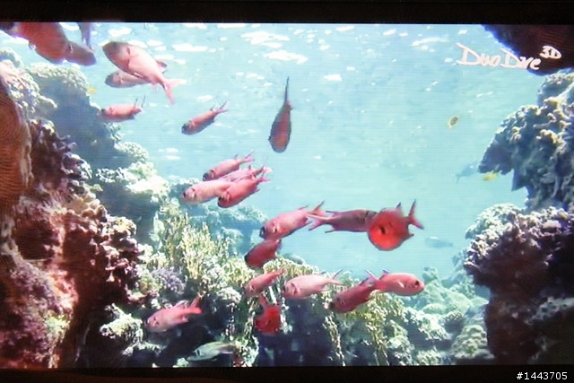 【體驗會分享】 HTC EVO 3D,旗艦3D的視覺饗宴