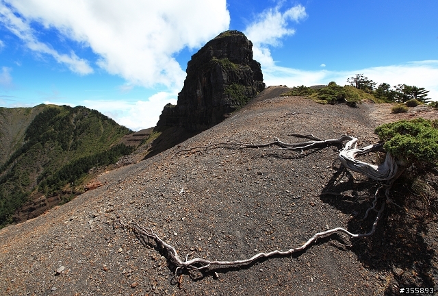 世紀奇峰~大霸尖山