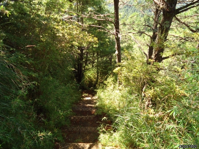 9/12塔塔加登東埔山--獨自漫步幽靜的特富野古道