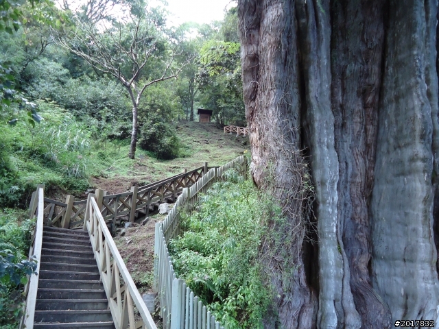 9/12塔塔加登東埔山--獨自漫步幽靜的特富野古道