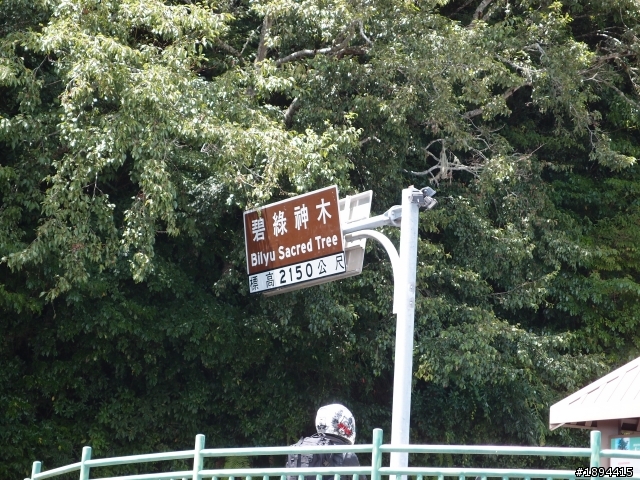 一日中橫-東進西出