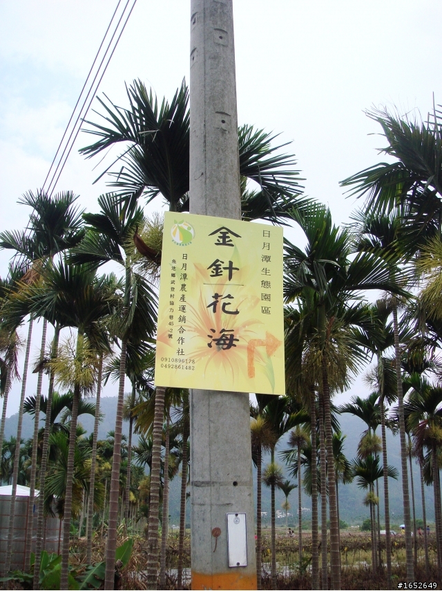 跟多摩君與伊恩一起流浪"深入武界河谷"