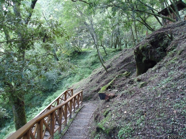 9/12塔塔加登東埔山--獨自漫步幽靜的特富野古道