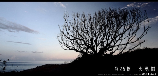 60D+canon10-22 一個人環島去